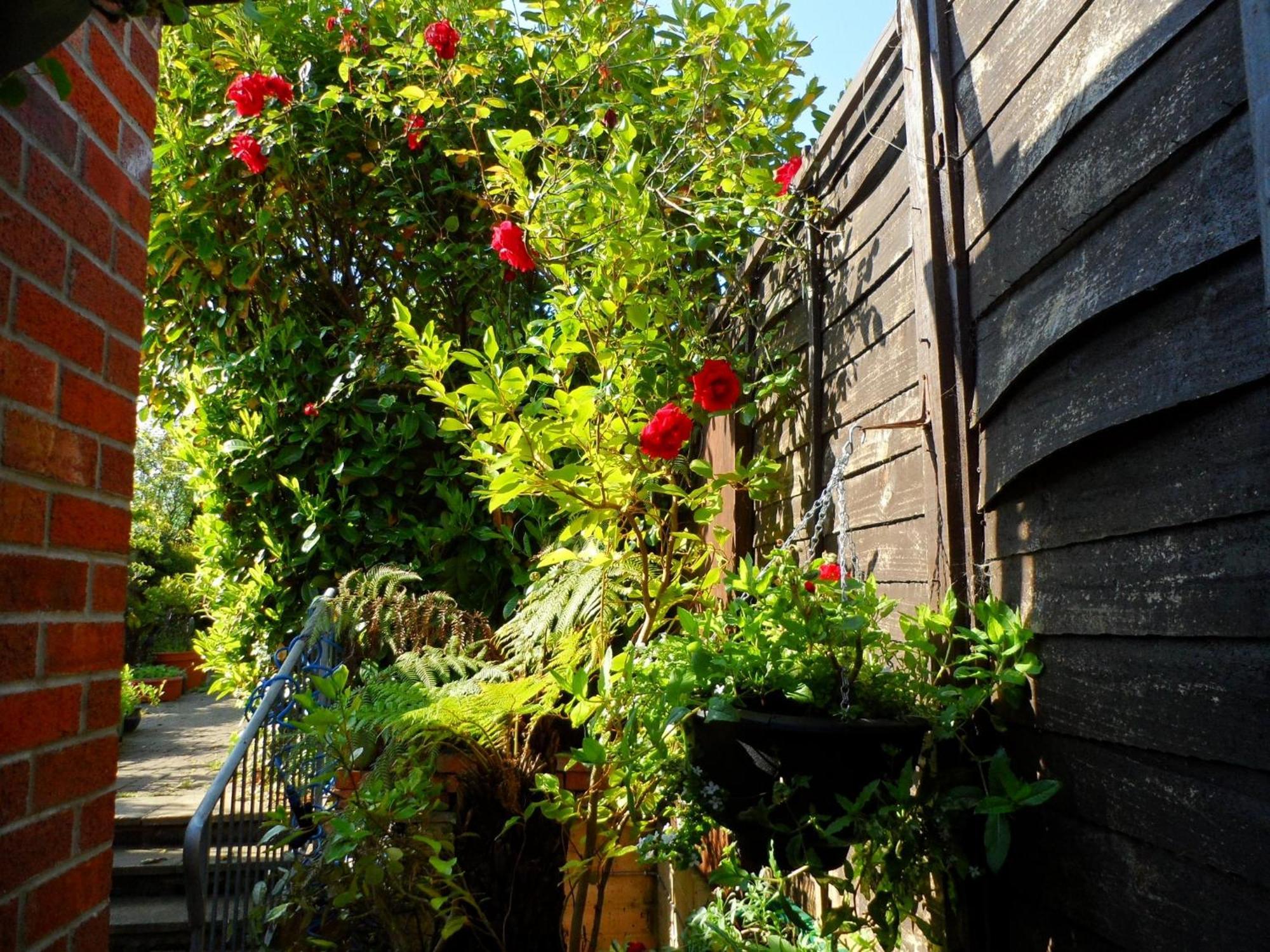Galway Guest House Weymouth Exteriér fotografie